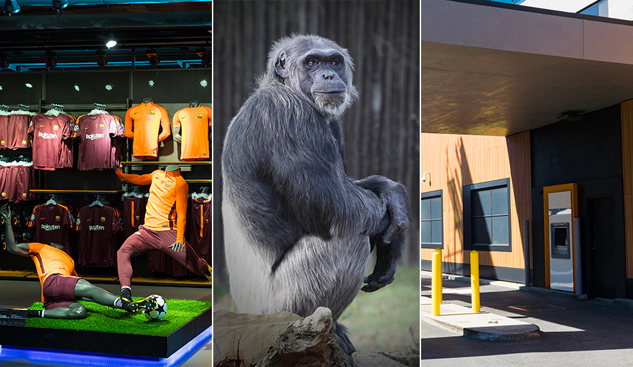 What are some unusual applications of surveillance cameras you have seen recently?