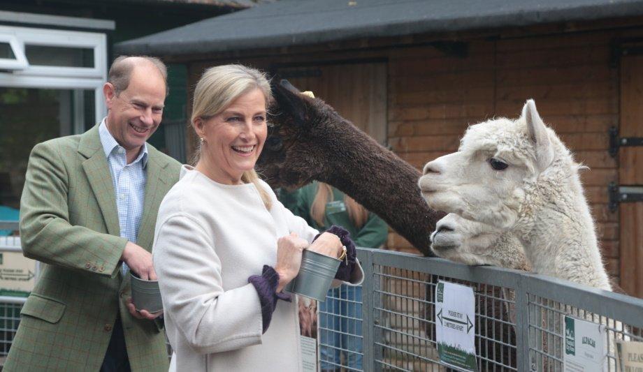 West London Security installs CCTV systems at Vauxhall City Farm to enhance visitor safety