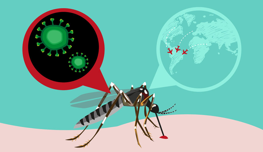 How to tackle the Zika virus impact on employee security, companies and business travel