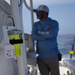 Mikele D’Arcangelo