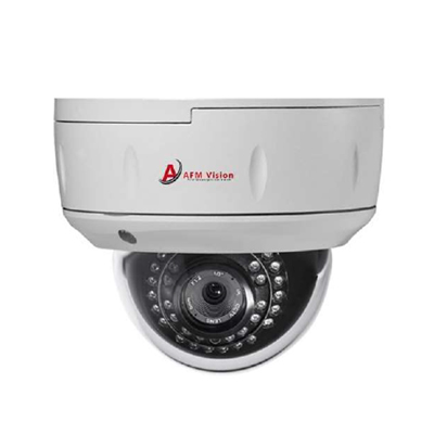 AFMVision AFM-2SHIP-2MP-D 2 megapixel IR dome IP camera