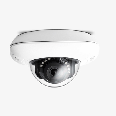 FLIR Systems CM-3102-11-I Ariel Full HD IP Mini-dome Camera (3-10mm)