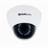 Brickcom FD-100Ae-20 3-axis fixed dome network camera