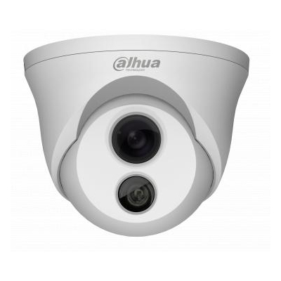 Dahua Technology DH-CA-DW191M 1/3-inch colour / monochrome IR dome camera