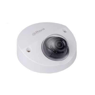 Dahua Technology DH-IPC-HDBW4221F-M 2MP full HD network vandal-proof wedge dome camera