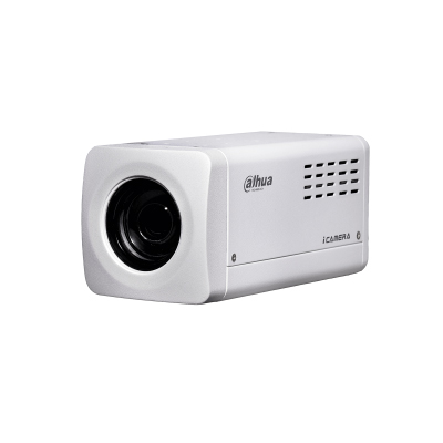 Dahua Technology SDZ2030S-N 2MP 30x Starlight zoom network camera