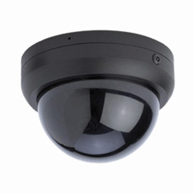 Digimerge DD3150 - high impact, vandal proof B&W dome camera