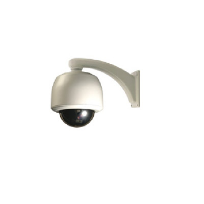FLIR Systems DVT-9601-D/N-Pd IP Dome camera