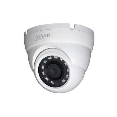 Dahua Technology HAC-HDW1220M 2MP Value Starlight HDCVI IR Eyeball Camera