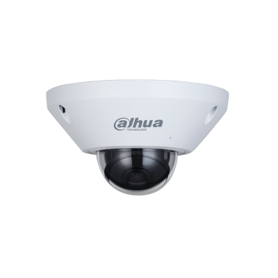 Dahua Technology IPC-EB5541-AS 5MP WizMind Fisheye Network CAMERA