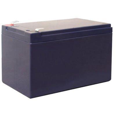 Bosch IPS-BAT12V-12AH lead battery for intrusion alarm systems