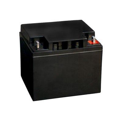 Bosch IPS-BAT12V-45AH lead battery for intrusion alarm systems