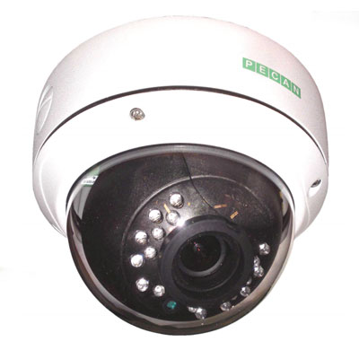 Pecan VRD146 1/3 inch CCD 600 TVL dome camera