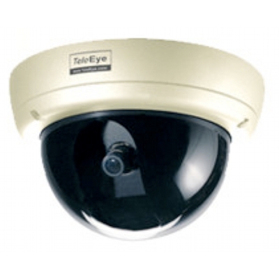 TeleEye DF178 1/3'' outdoor vandal resistant dome with auto iris