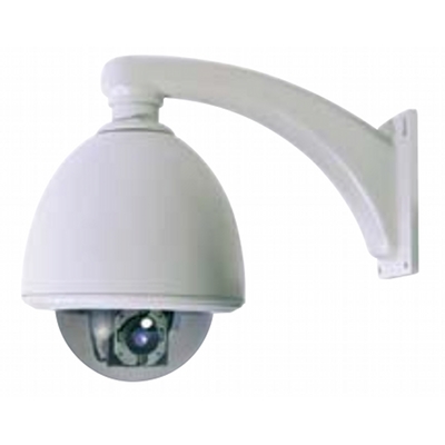 TeleEye DM889 outdoor high resolution colour dome camera