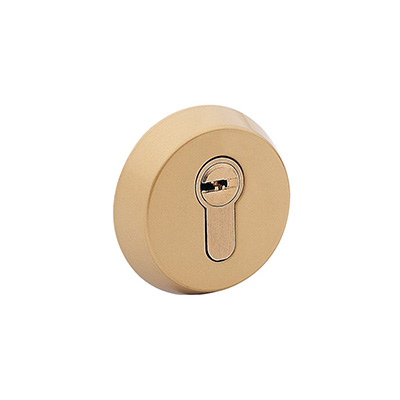 TESA E300L security escutcheon