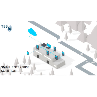 Touchless Biometric Systems (TBS) SMALL ENTERPRISE SOLUTION - biometric Plug & Play package