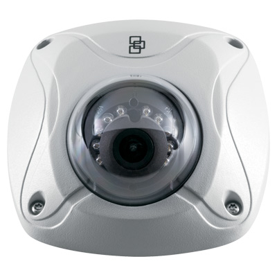 TruVision TVW-3102 outdoor IR IP wedge dome camera