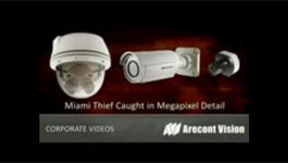 Arecont Vision cameras capture purse-snatching thief in Miami