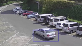 Panasonic Intelligent Video Motion Detection (i-VMD) for Intruder & Direction Detection