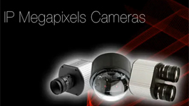 Aasset Secuirty - IP Megapixel Cameras demo