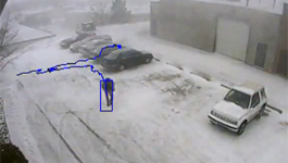 Aimetis Symphony - video analytics software - Snow Storm demo