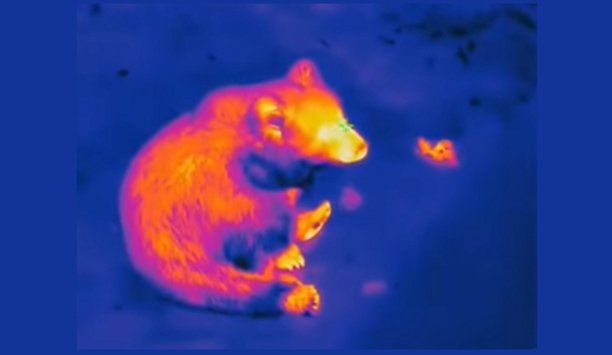 Hikvision handheld observational thermal camera DS-2TS03