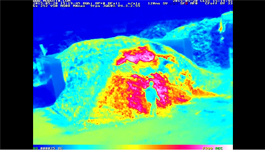 MOBOTIX thermal cameras: Monitoring processes in high risk fire environments