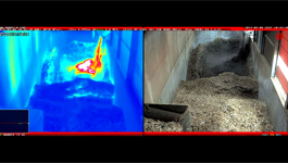 MOBOTIX demo clip: Thermal cameras monitoring processes in high risk fire plants
