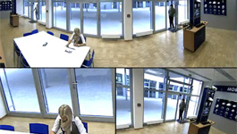 Mobotix Hemispheric Q24M-Sec - Panorama Focus