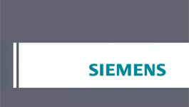 Siemens dedicated security solutions for ports