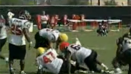 Siemens integrated security solution for Houston Reliant Stadium