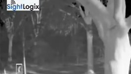 SightLogix system - Outdoor Video Analytics - Image Stabilization