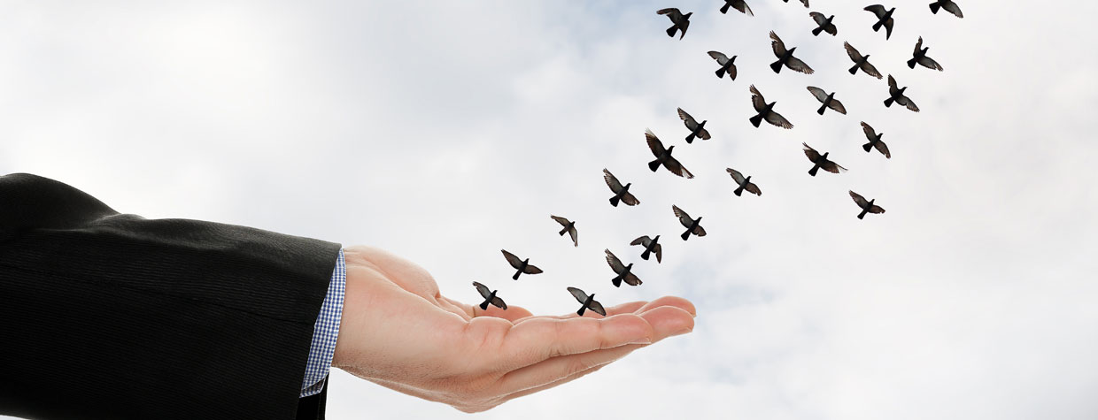 How to migrate to IP surveillance from analogue: Strategies & Tips