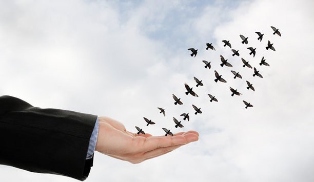 How to migrate to IP surveillance from analogue: Strategies & Tips